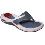 Scholl ARUBA