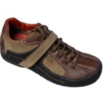 Scholl APACHE