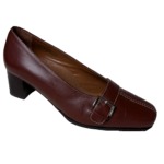 Scholl ALISON