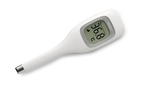 Teploměr Thermometr Digital