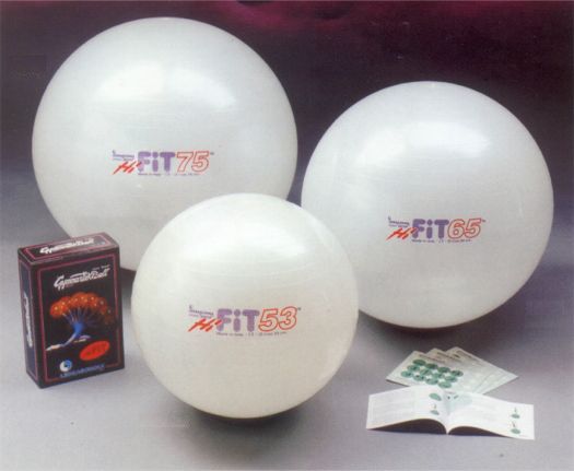 Gymnastik Ball Fit 75