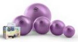 Míč SoftBall/Aerobic Ball 26cm fialový, šedý