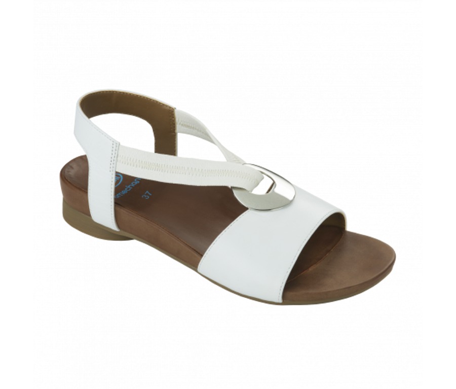 Scholl ALULA