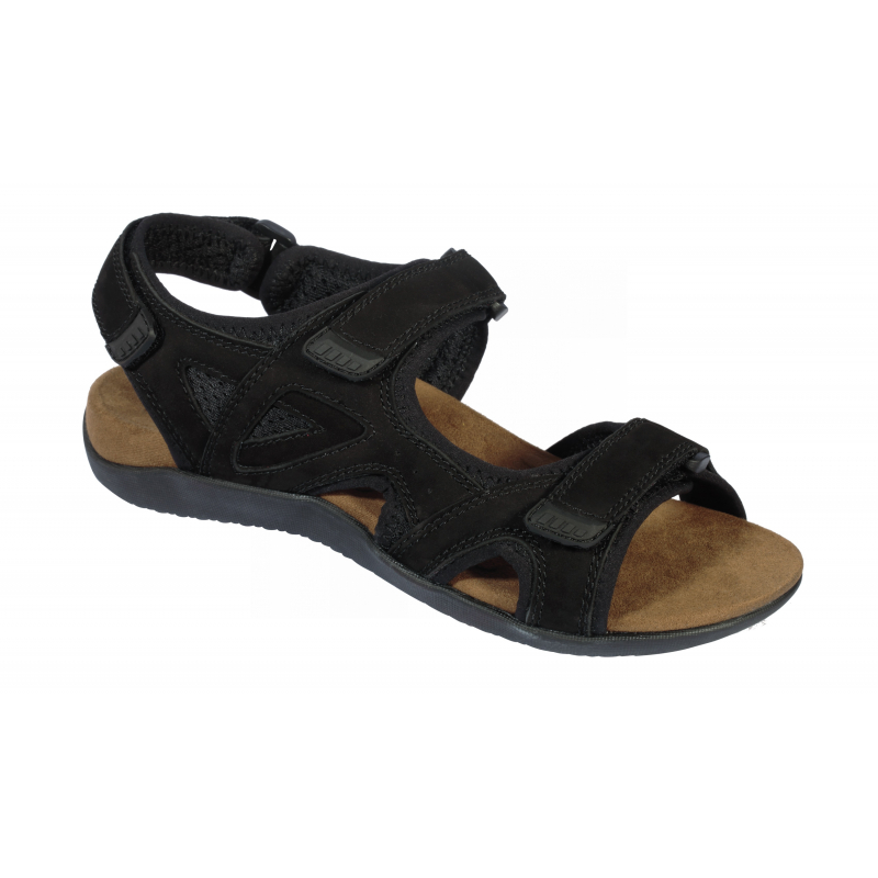 Scholl SPINNER