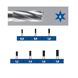 Vrtáček tvrdokov. A-H2N 10 zub