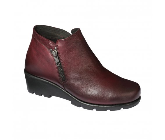 Scholl NOALE